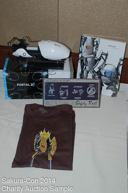 Valve Portal 2 Set